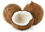 COCONUT BROWN 1/40CT