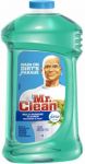 MR CLEAN MEADOWS & RAIN